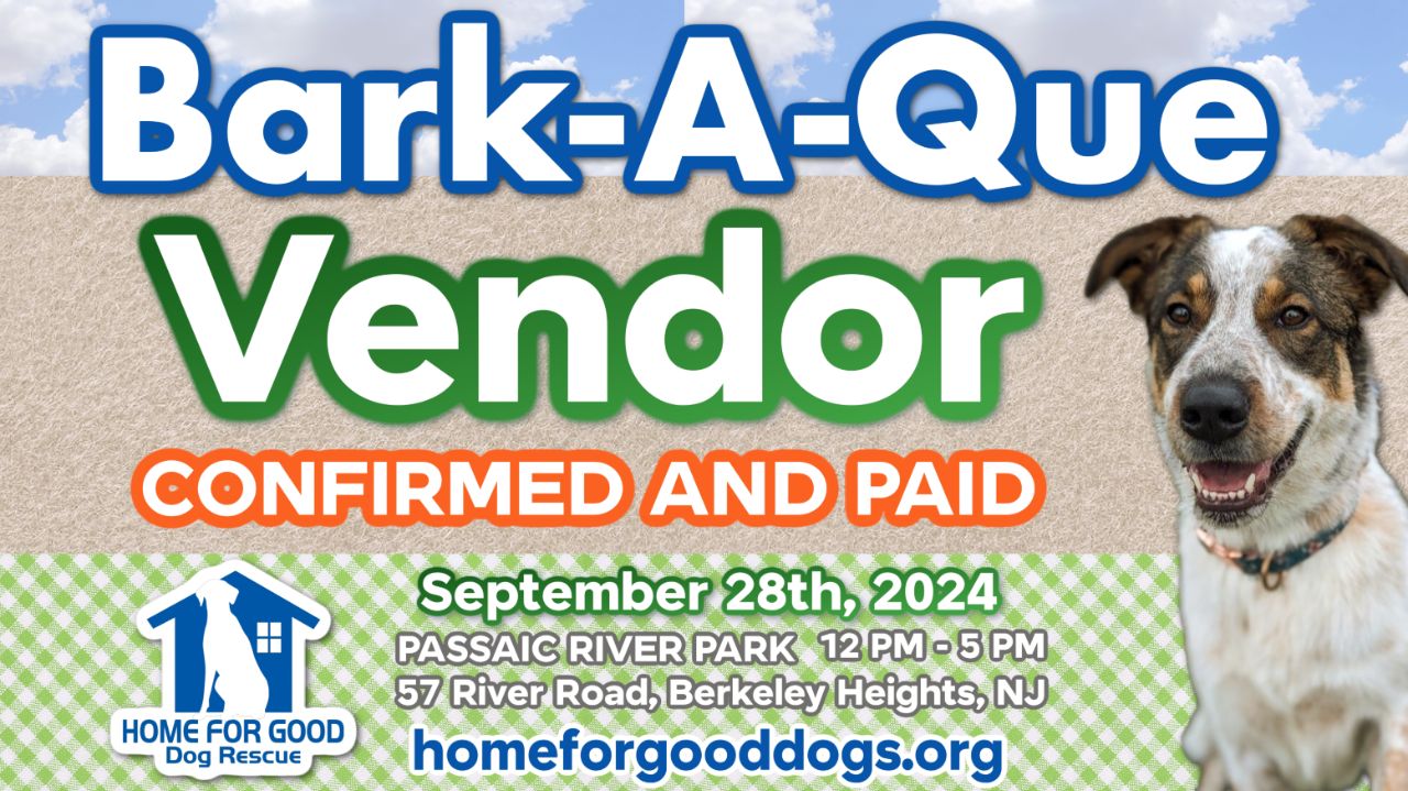 Animal Rescue Np Spca Spca Nova Scotia A Good Dog Rescue A Good