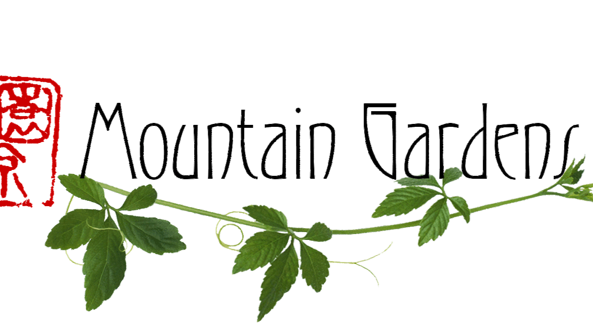 Food as Medicine w/Marc Williams of Botany Everyday