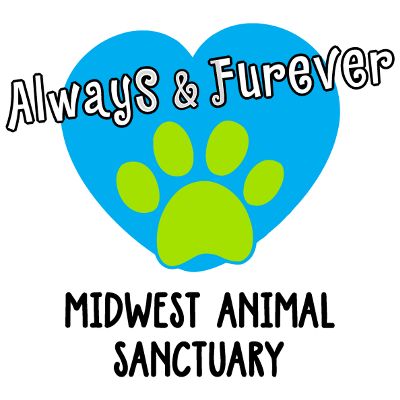 Always & Furever Midwest Animal Sanctuary