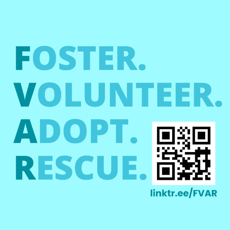 Final Victory Animal Rescue Inc