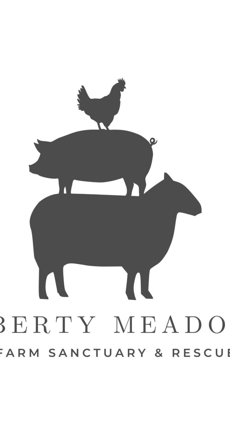 Liberty Meadows Inc