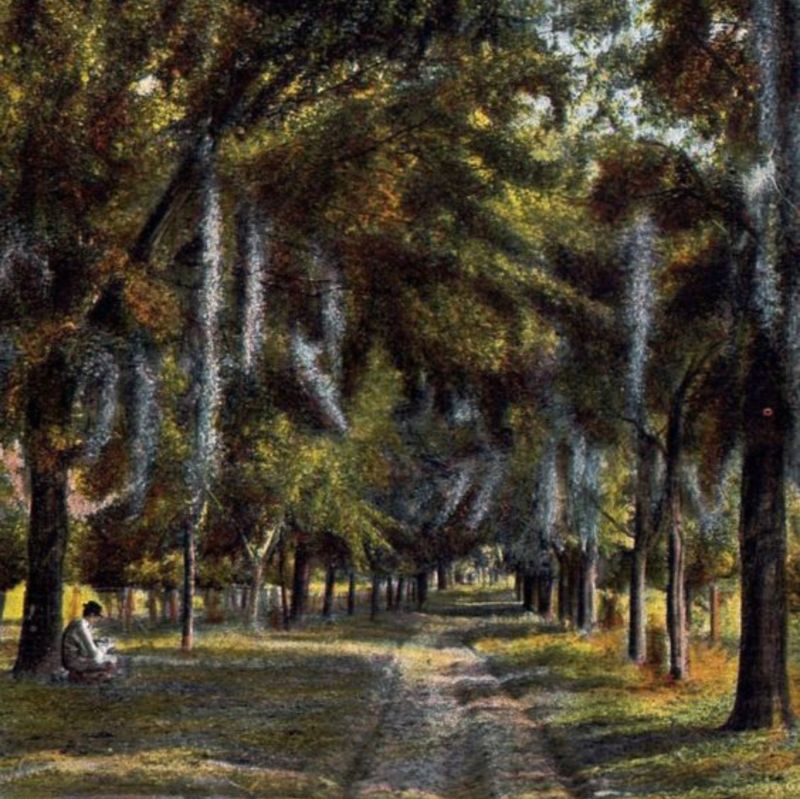 Pascua Community Land Trust, Inc