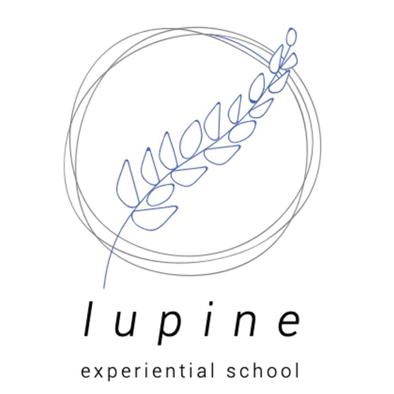Lupine Experiential School