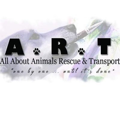 All About Animals Rescue & Transport Inc