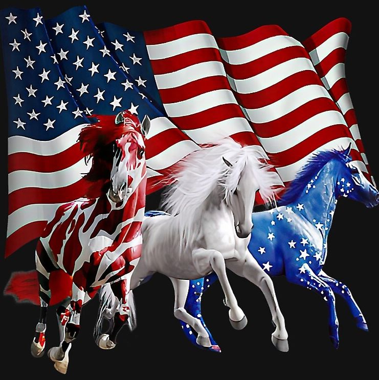 Horses 4 Heroes Inc