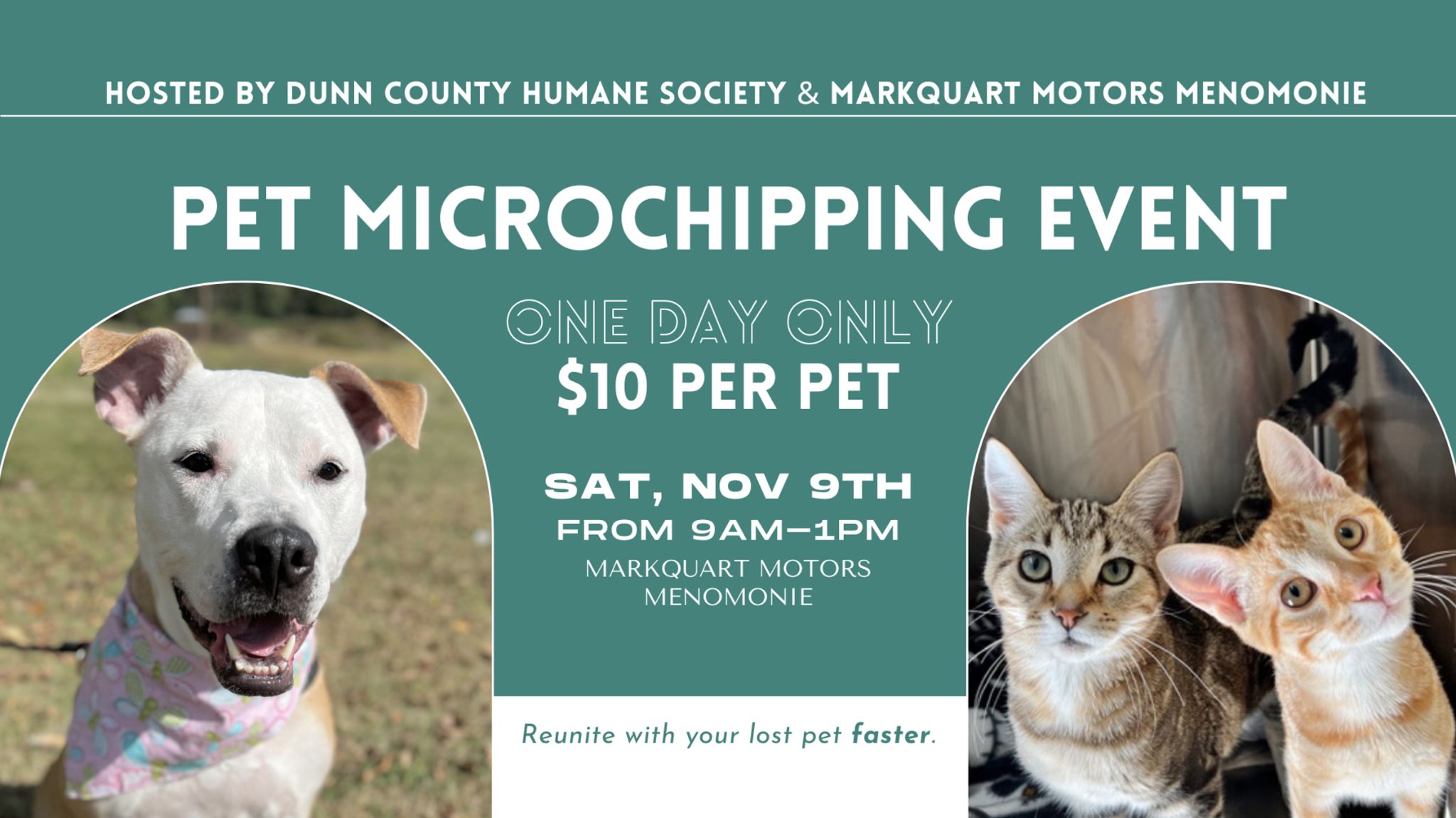 Veterinary Hospital Microchip My Cat Humane Society Pet Chip