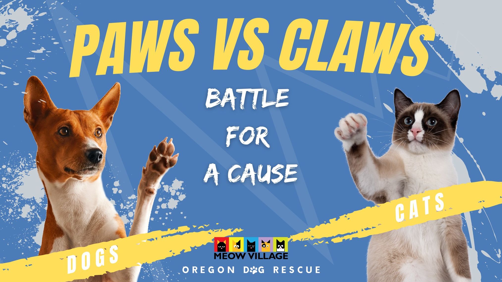 Paws vs Claws Battle for a Cause