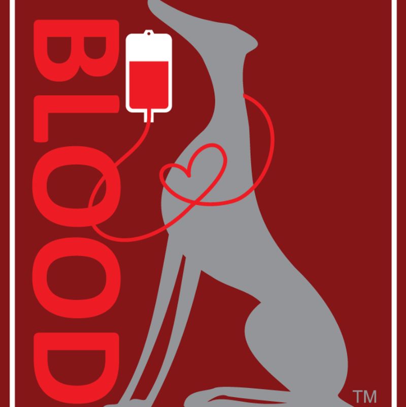 The Greyhound Health Initiative A Not For Profit Corporation