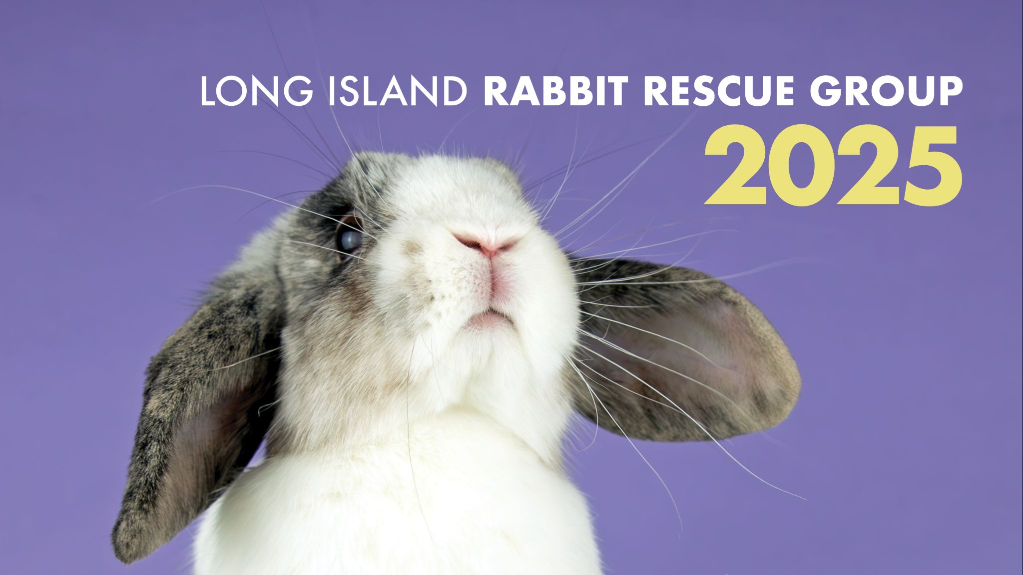 LIRRG 2025 Calendar Fundraiser