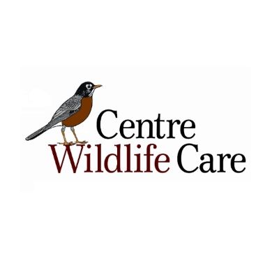 Centre Wildlife Care