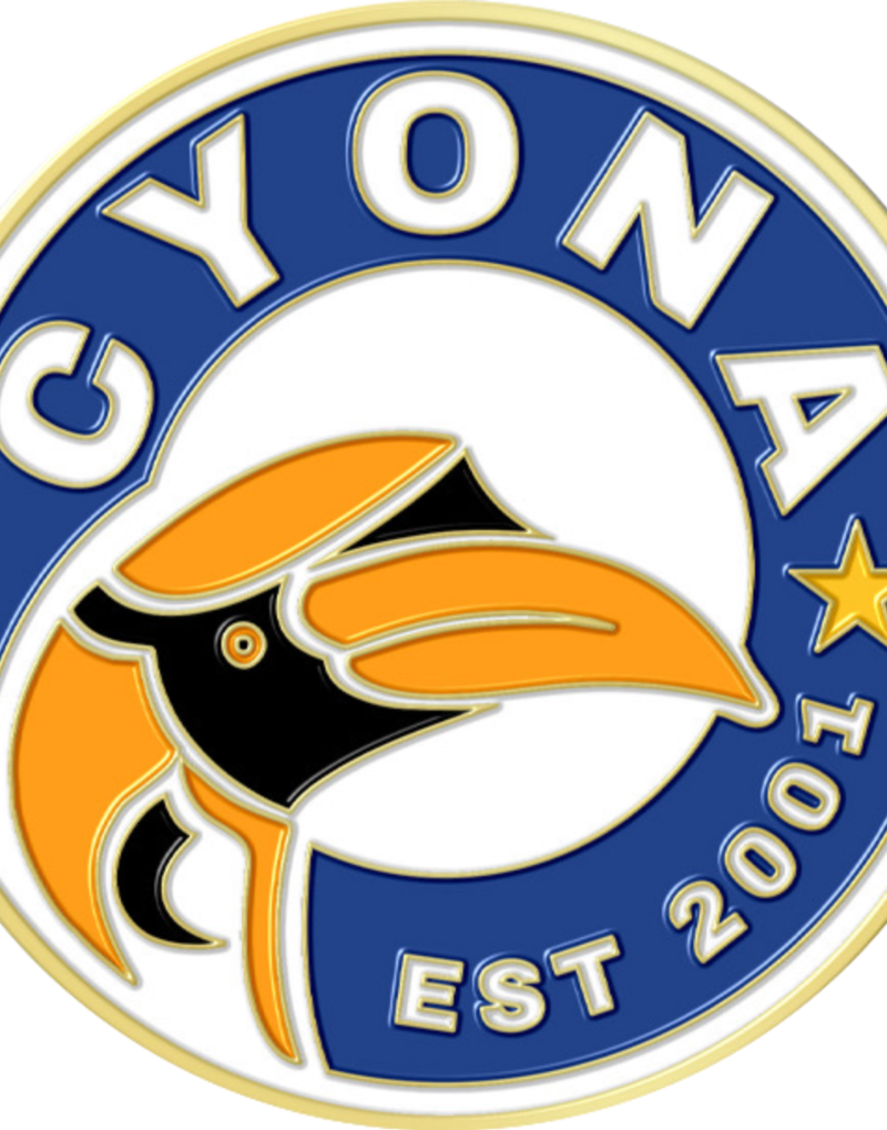 Chin Youth Organization Of North America