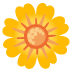 🌼