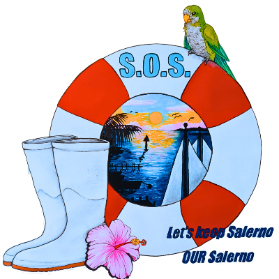 SAVE OUR SALERNO INC