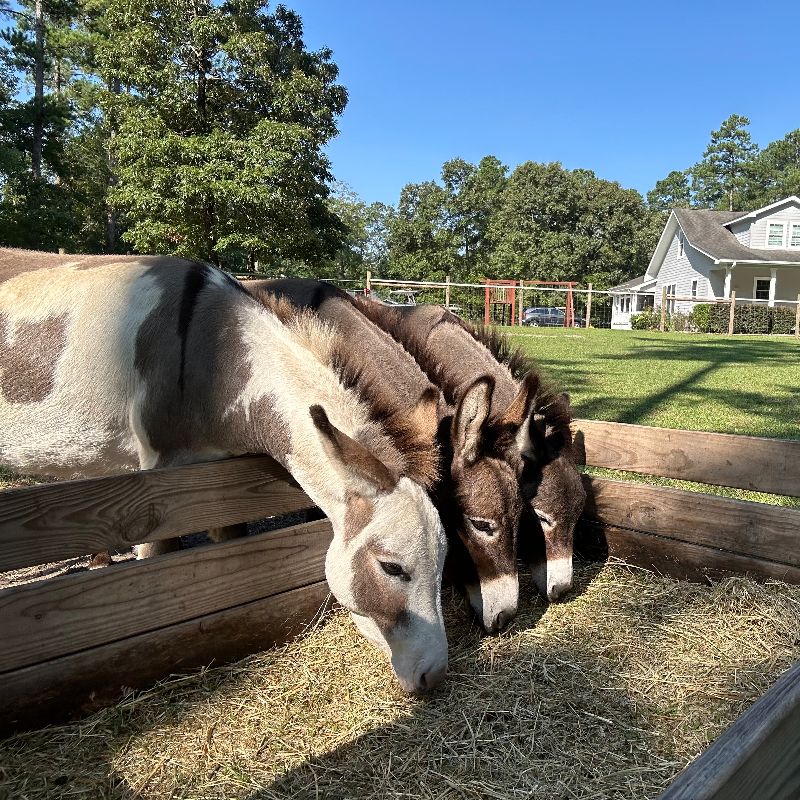 Peaceful Pastures Retreat