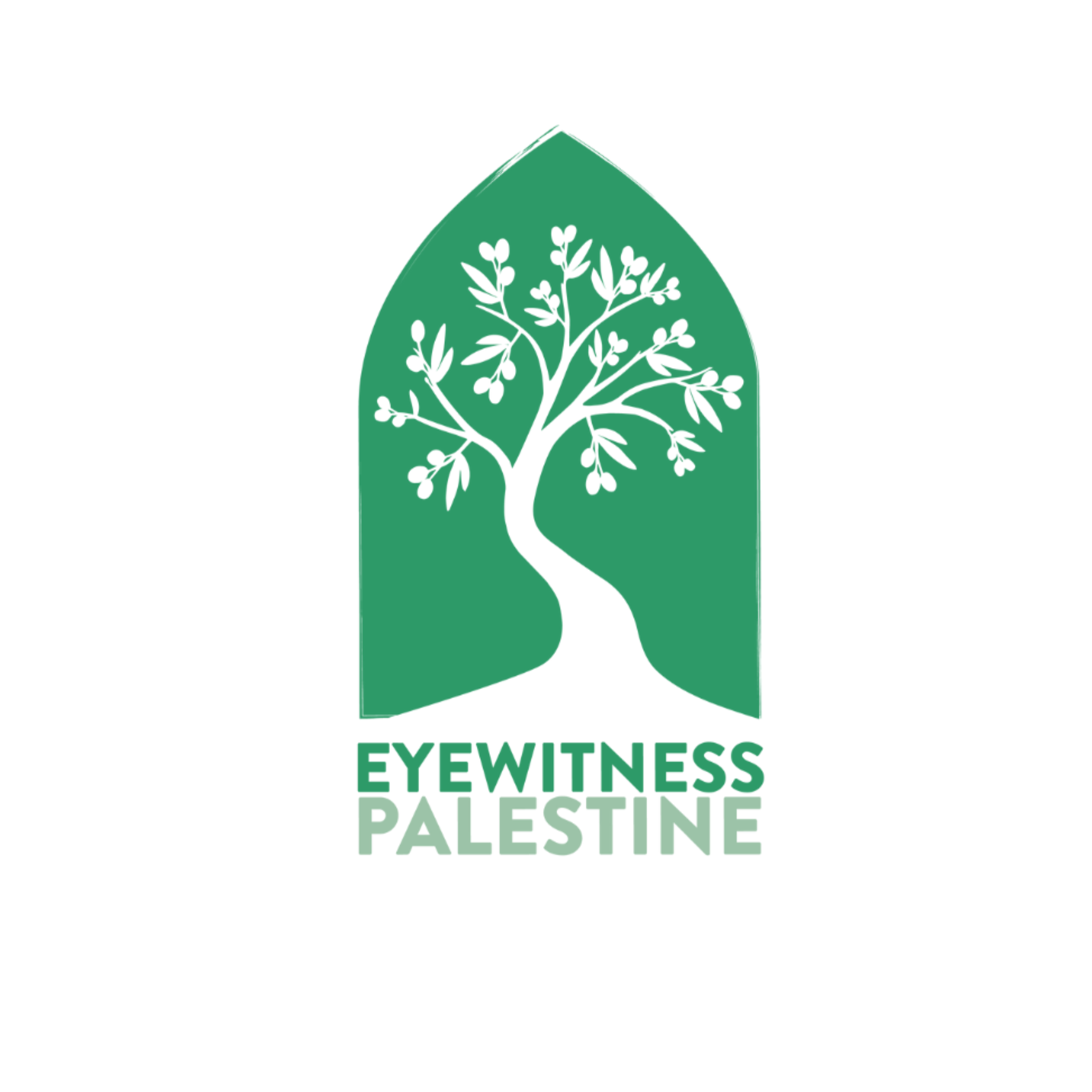 Eyewitness Palestine