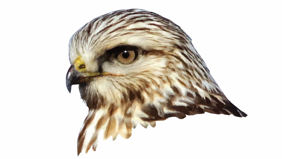 Five Valleys Audubon Society Membership