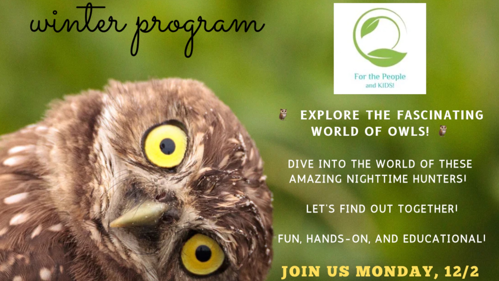 Explore the Fascinating World of Owls! 🦉