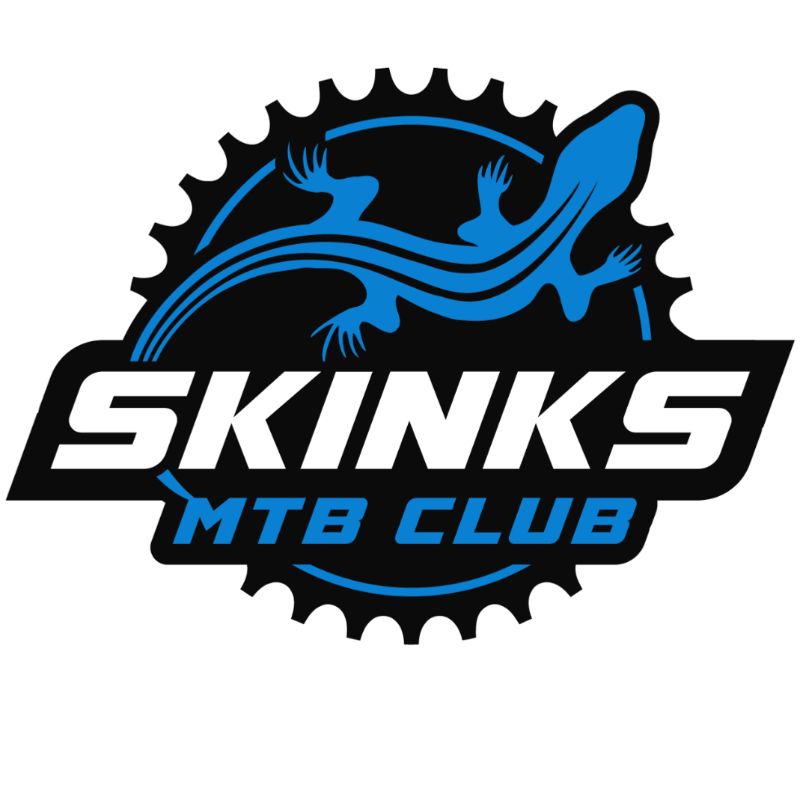 Blue tailed skinks