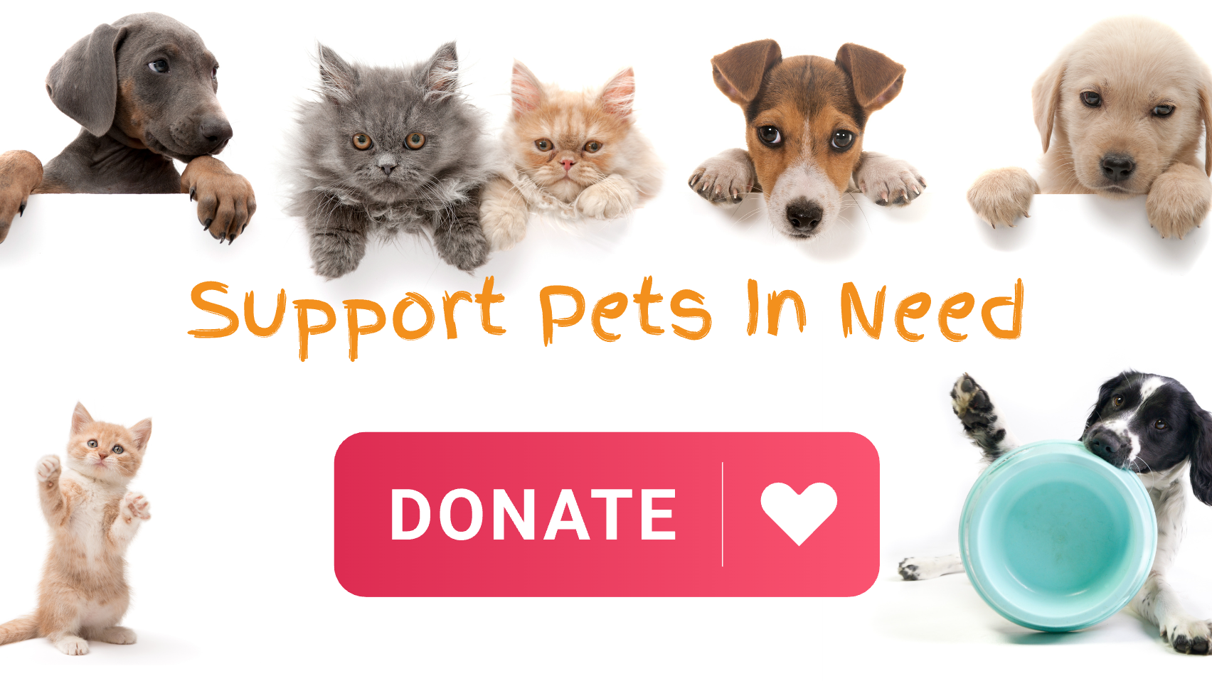 Pet Reste Paw Paws Pet Rescue 2026 Donations