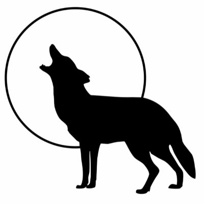 Nature Sounds Society Inc