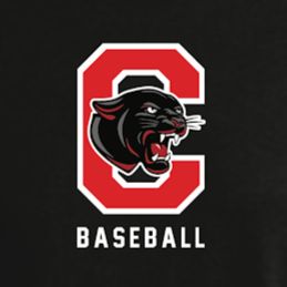 Friends of Panther Baseball