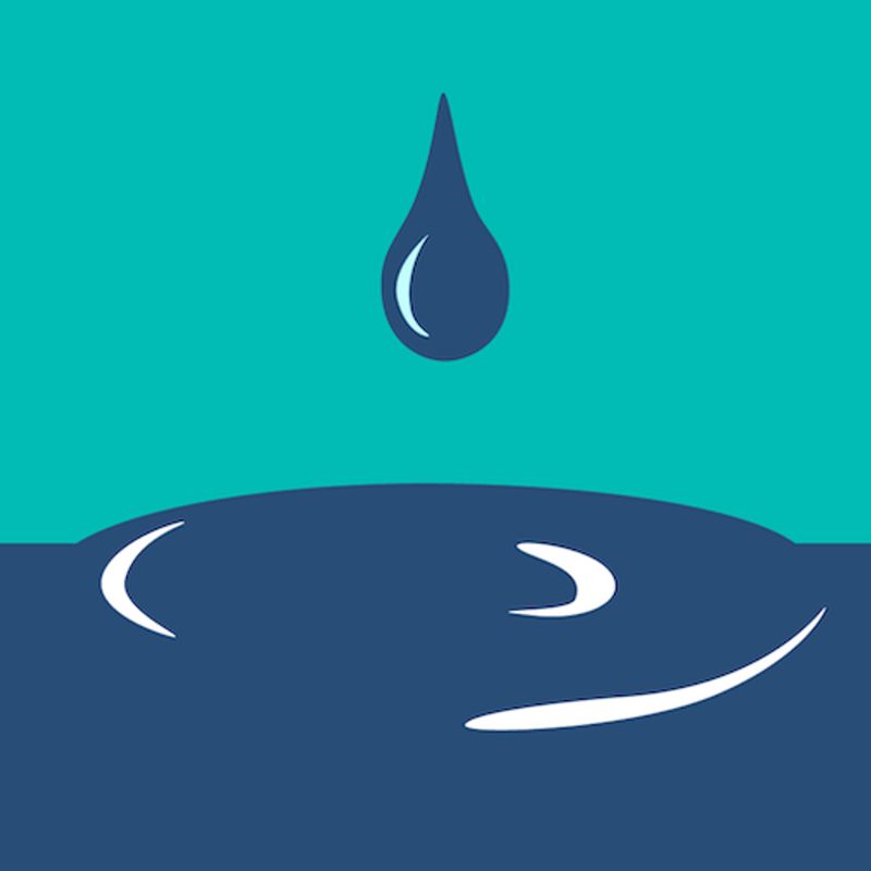 Immerse Language & Culture