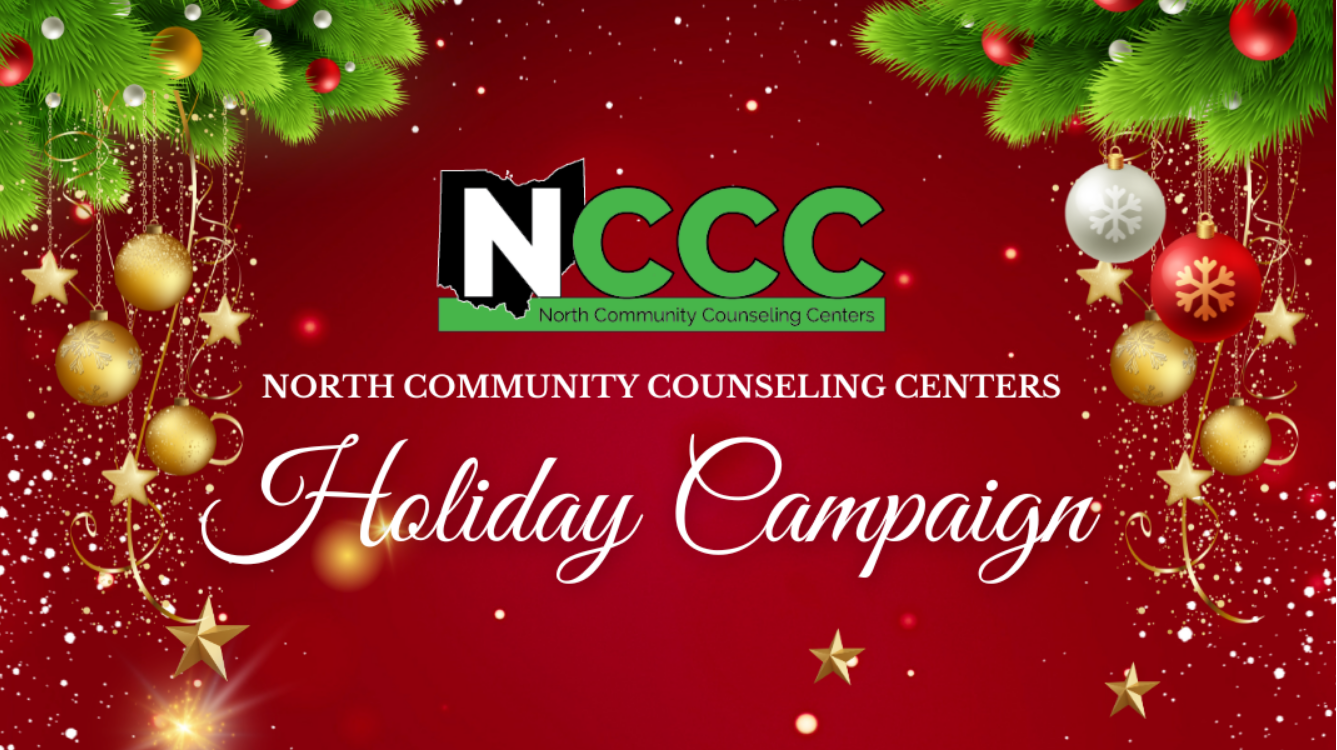 Nccc Goose NCCC Holiday Campaign
