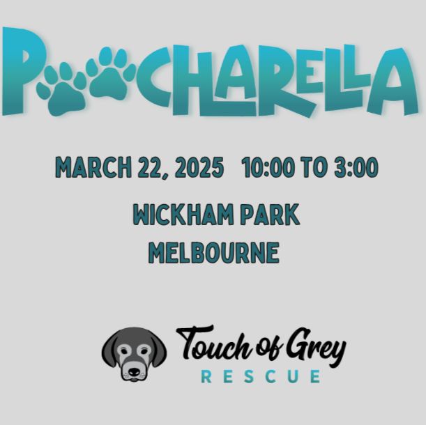 Touch of Grey Rescue