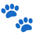 🐾