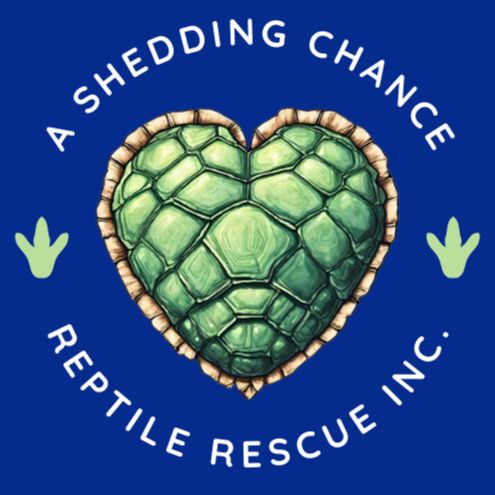 A Shedding Chance Reptile Rescue Inc.
