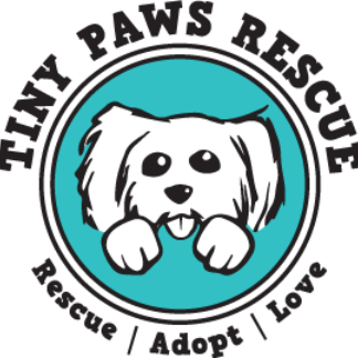 Tiny Paws Inc