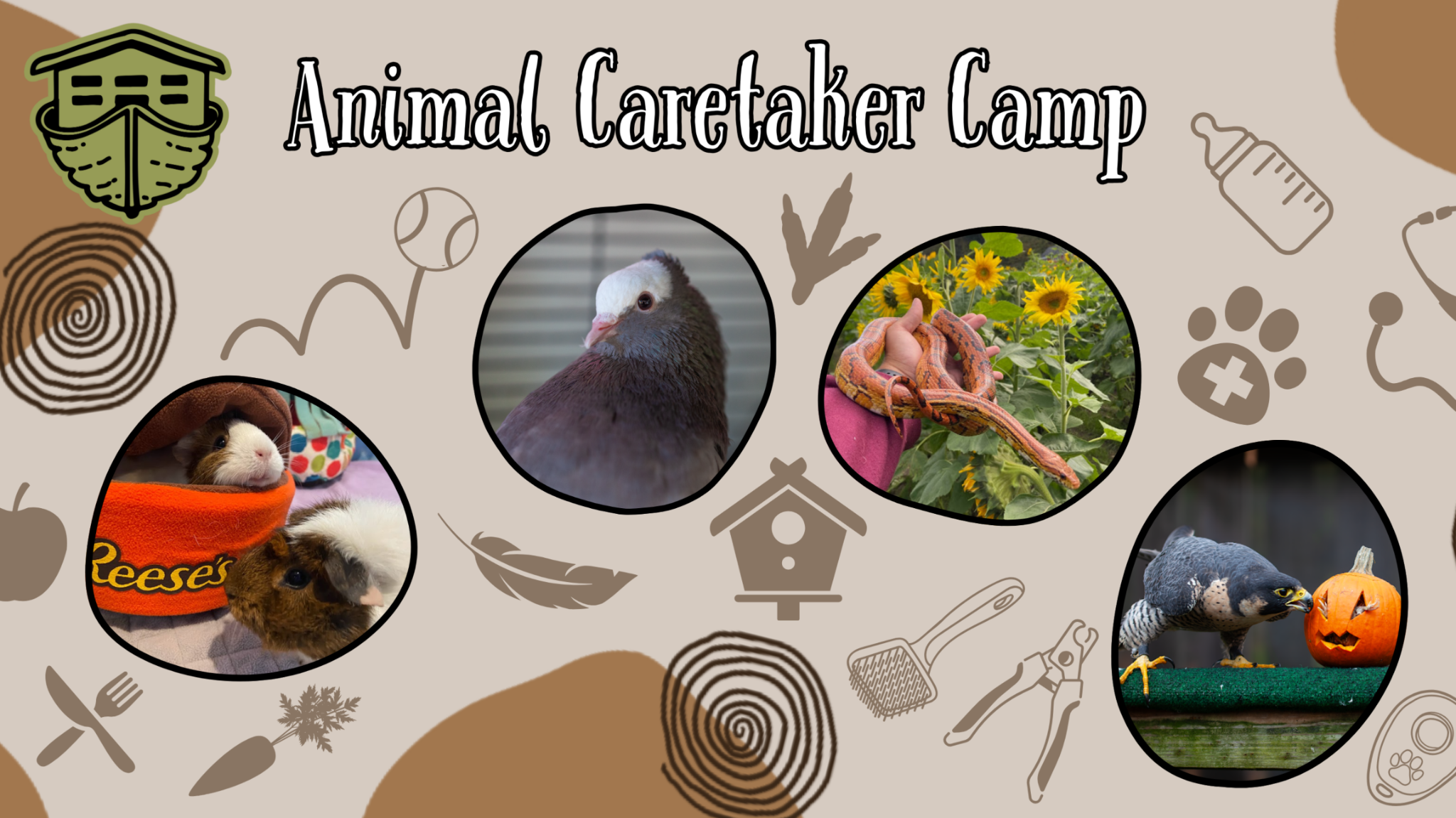Animal Caretaker Camp (5 7)