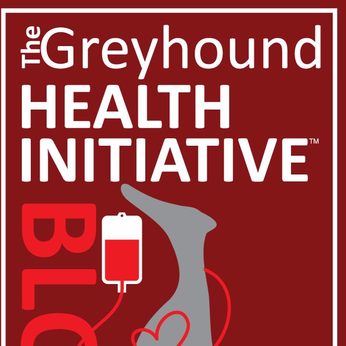 The Greyhound Health Initiative A Not For Profit Corporation