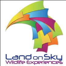 White Mountain Wildlife And Nature Center Inc