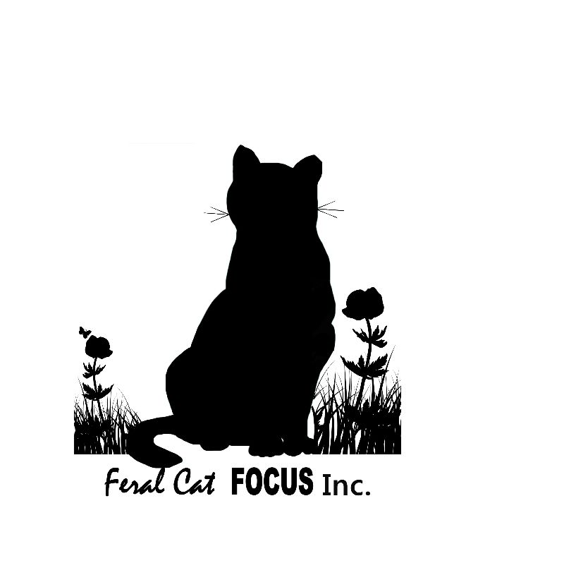 Feral Cat Focus Inc
