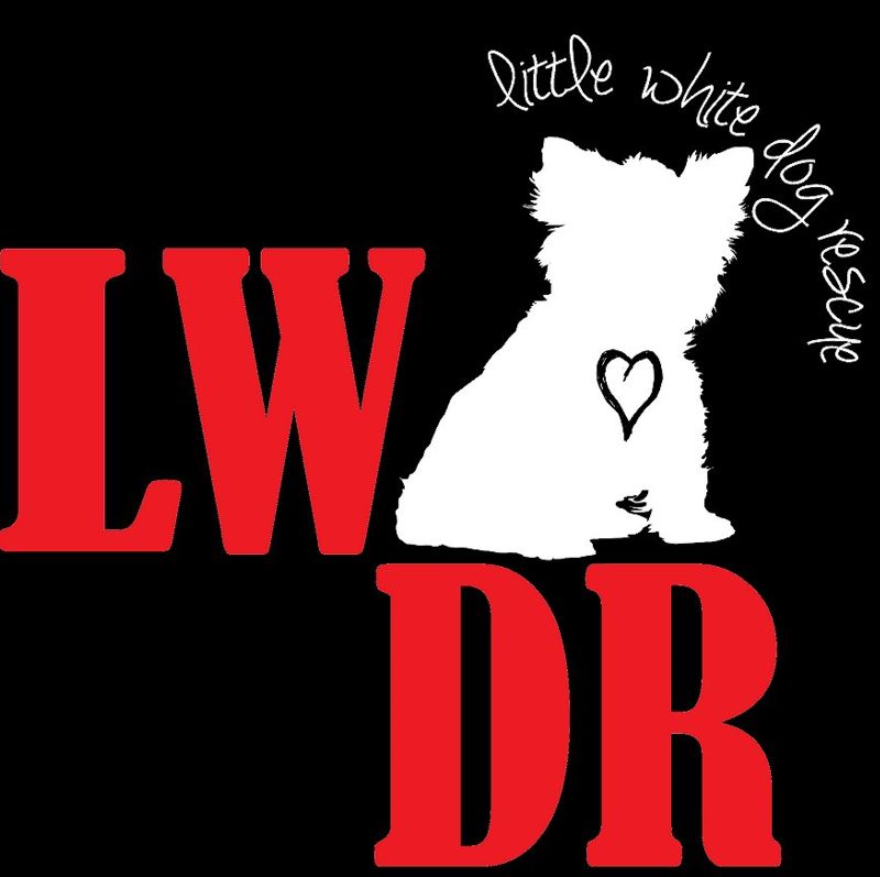 Little White Dog Rescue Inc