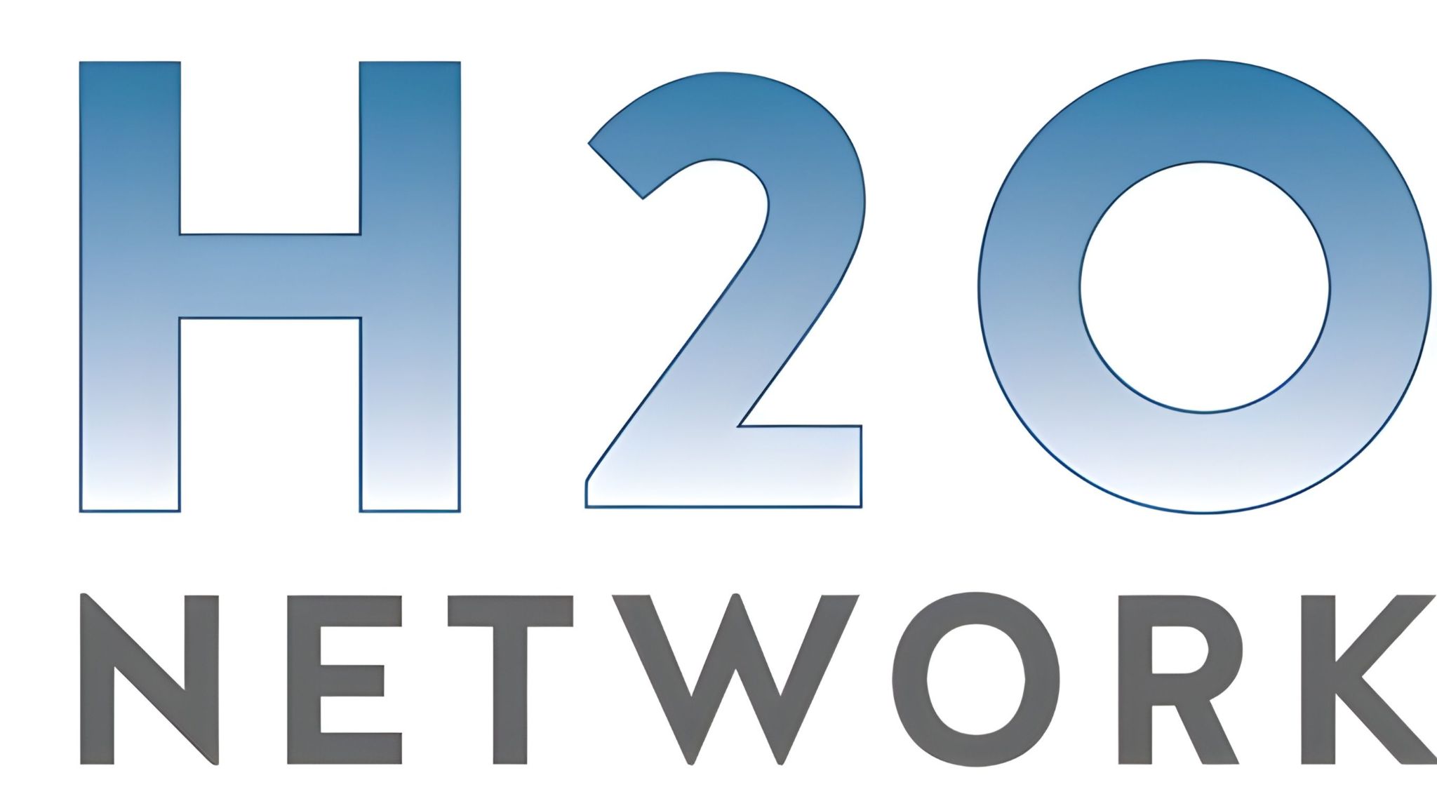 H2O NETWORK PROVIDER intelligence overview