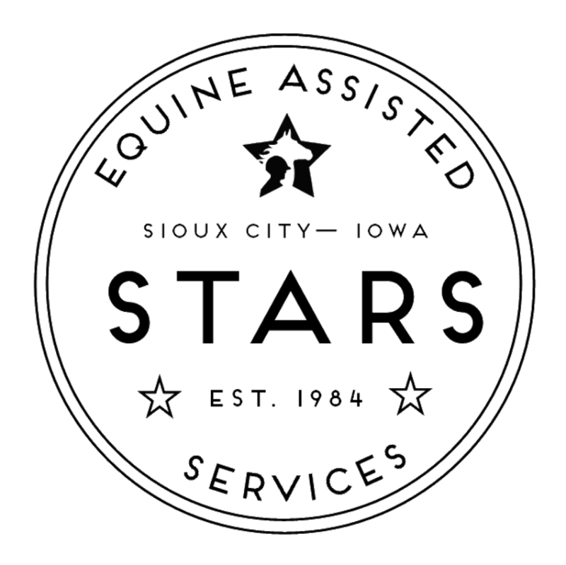 Special Troopers Adaptive Riding School Inc Stars Inc