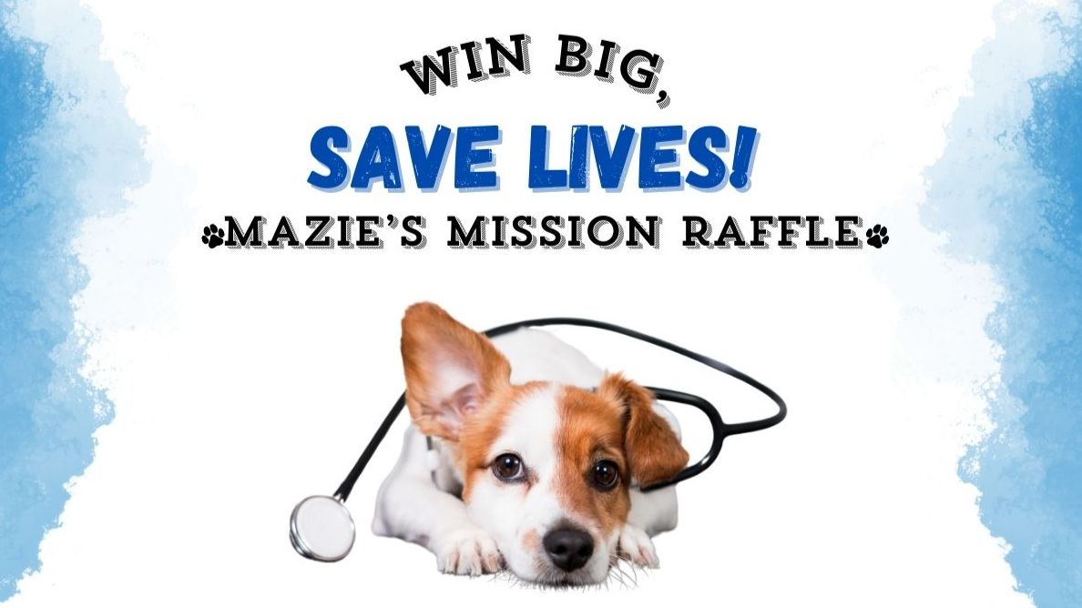 Mazie’s Mission Raffle – Win Big & Save Lives! 🎟️🐾