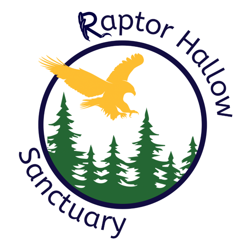 Raptor Hallow Sanctuary