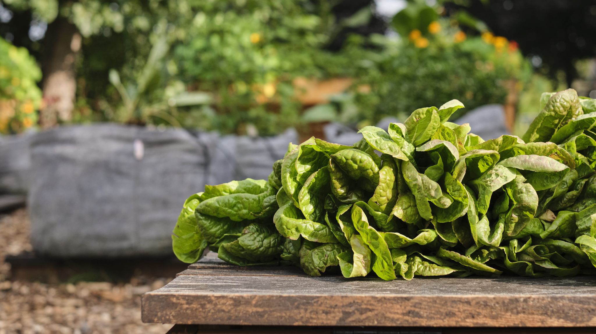 Atelier Gaspillage Alimentaire - Jeudi 20 mars 17h à 18h