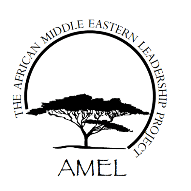 The African Middle Eastern Leadership Project