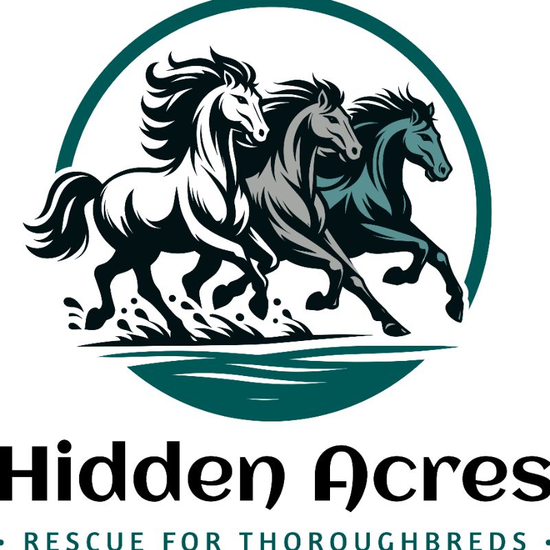 Hidden Acres Rescue For Thoroughbreds Inc
