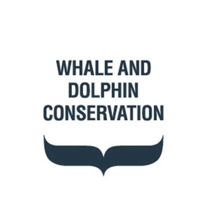 Whale And Dolphin Conservation Inc