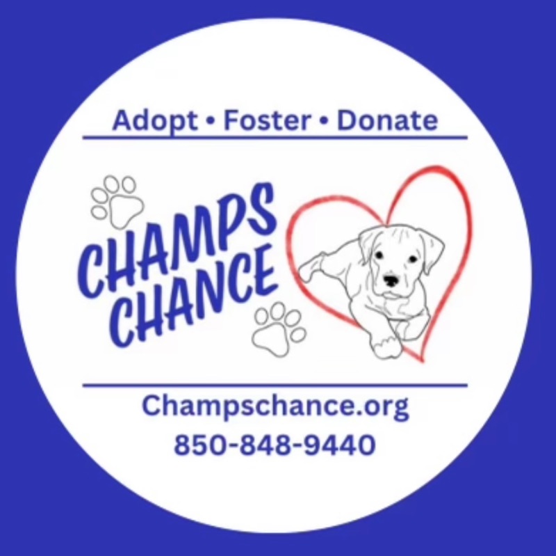 Champs Chance Inc's Pups Pours raffle 2025