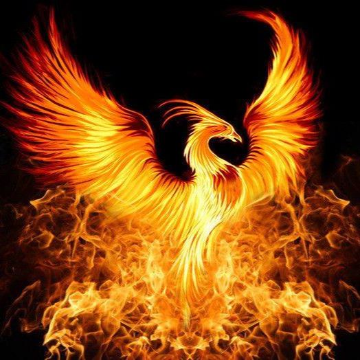 Prajna Fire Inc