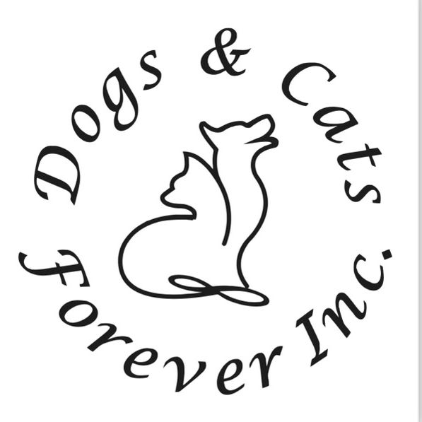 Dogs And Cats Forever Inc