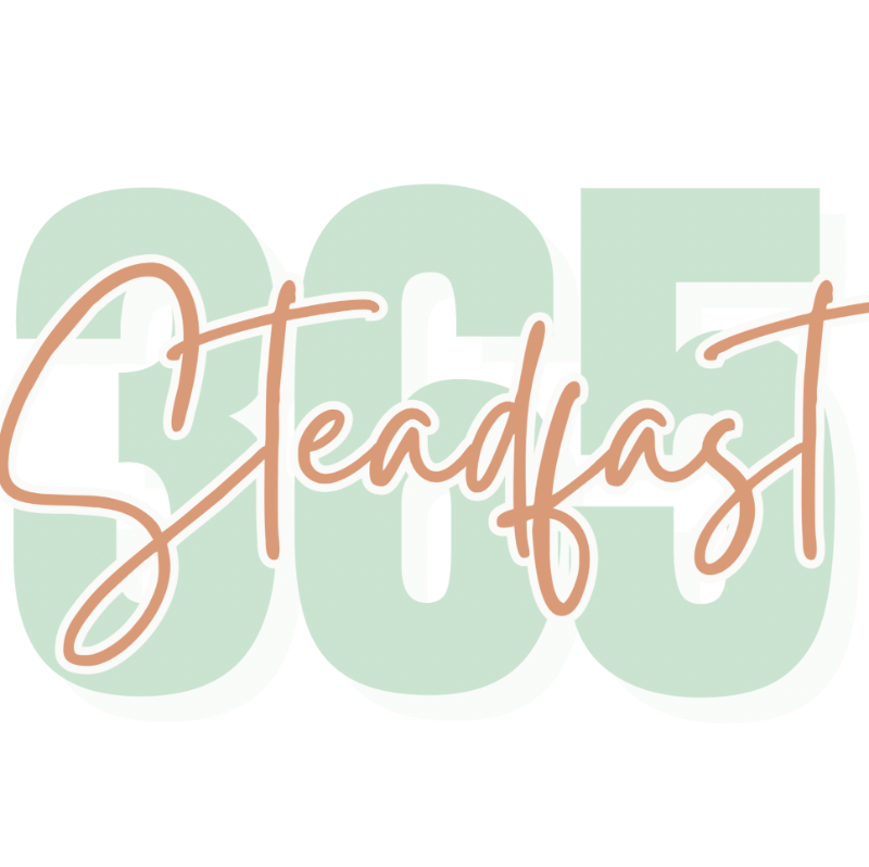 Steadfast 365 Inc