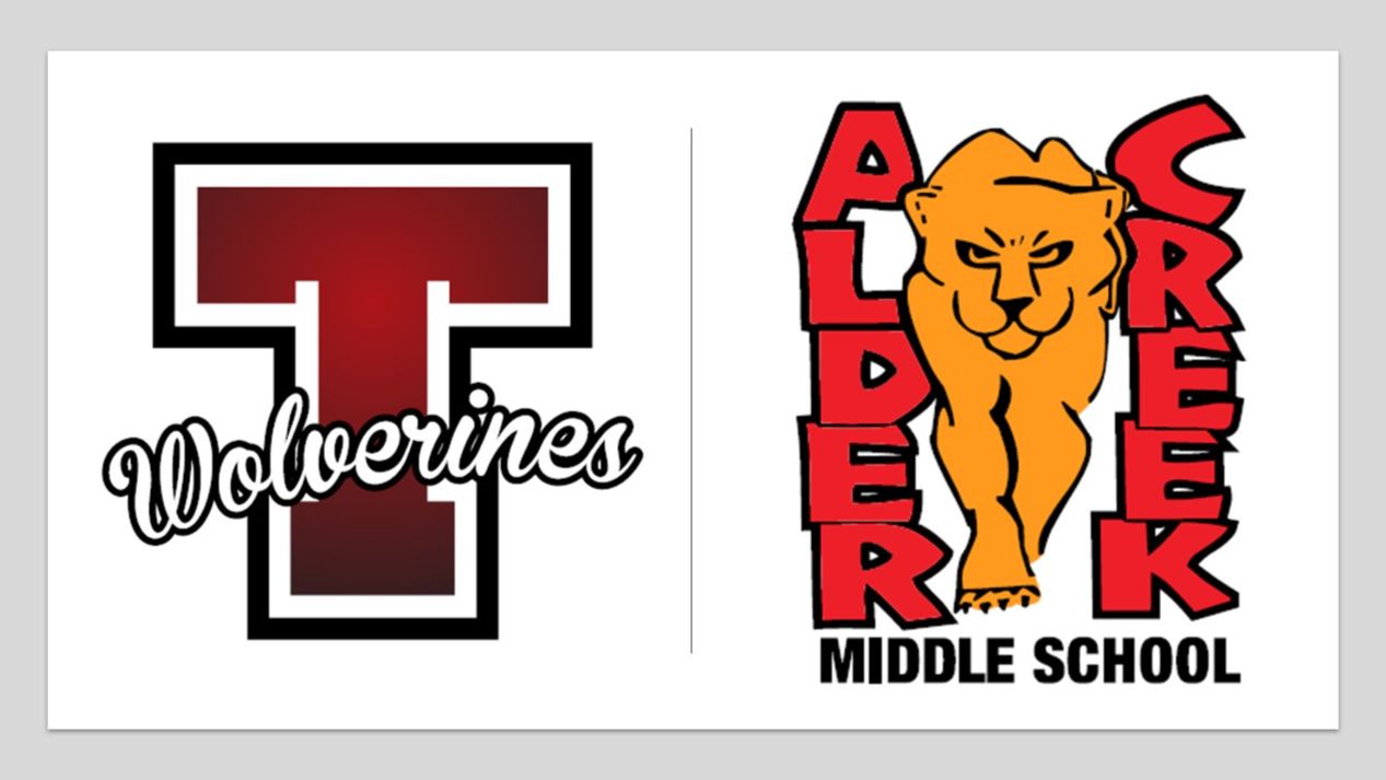 TEMPO Donations, Bake Sale purchases, Musician Tips