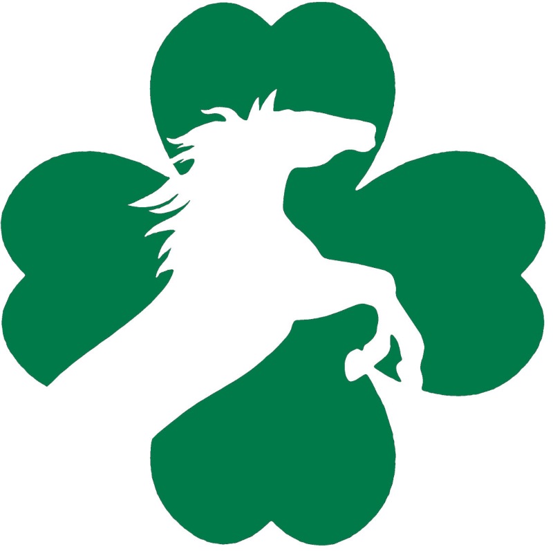 Emerald Hollow Therapeutic Riding Center, Inc.